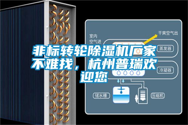非标转轮麻豆视频黄网站厂家不难找，杭州普瑞欢迎您