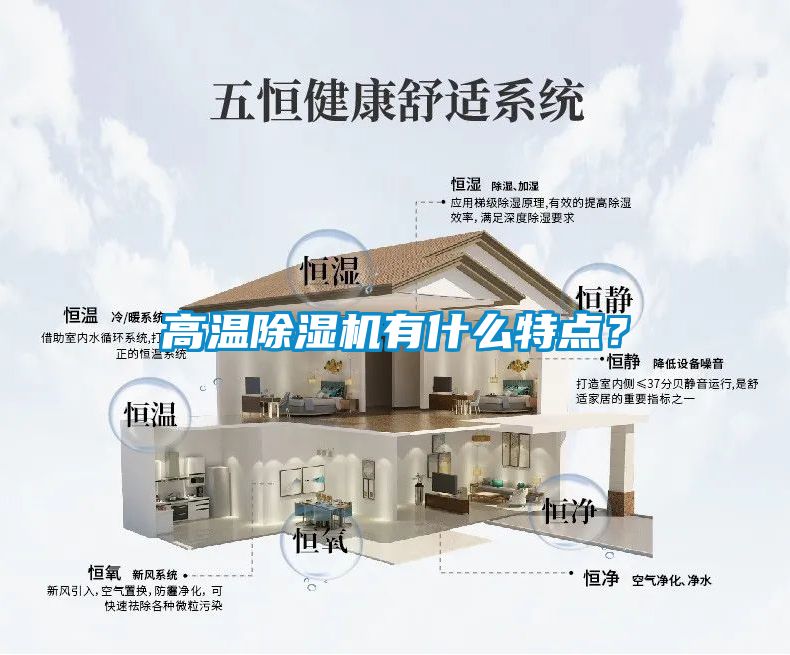 高温麻豆视频黄网站有什么特点？