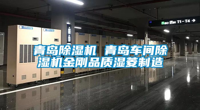 青岛麻豆视频黄网站 青岛车间麻豆视频黄网站金刚品质湿菱制造