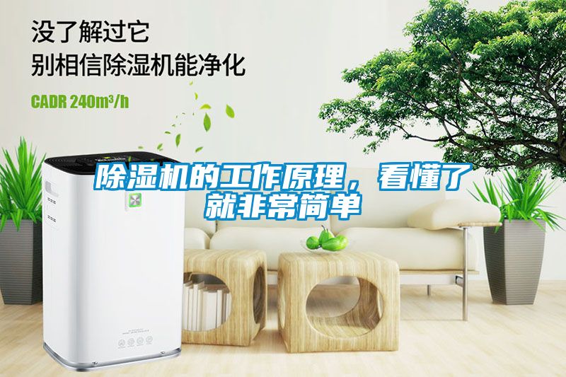 麻豆视频黄网站的工作原理，看懂了就非常简单