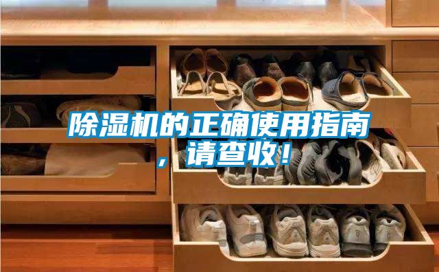 麻豆视频黄网站的正确使用指南，请查收！