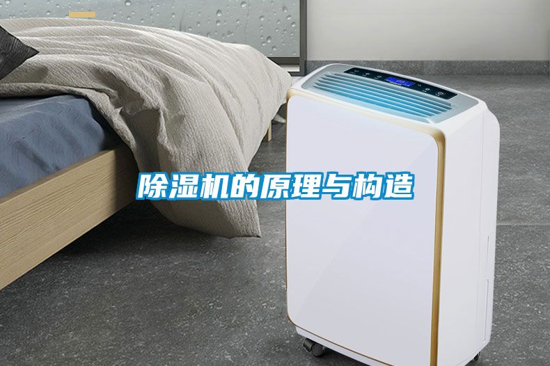 麻豆视频黄网站的原理与构造