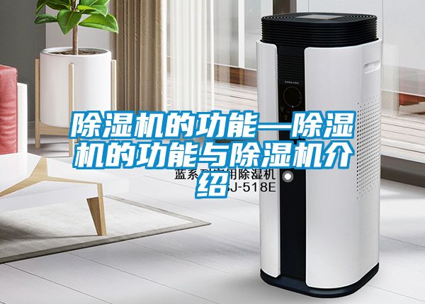 麻豆视频黄网站的功能—麻豆视频黄网站的功能与麻豆视频黄网站介绍