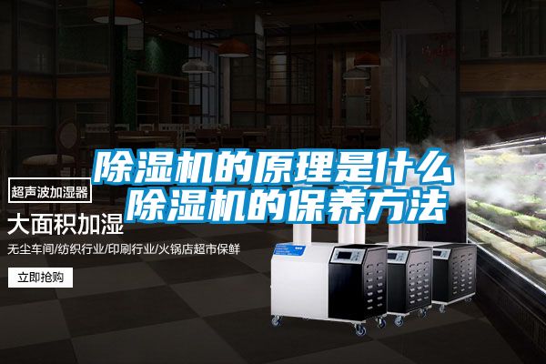 麻豆视频黄网站的原理是什么 麻豆视频黄网站的保养方法