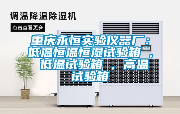 重庆永恒实验仪器厂：低温恒温恒湿试验箱 , 低温试验箱 , 高温试验箱