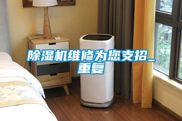 麻豆视频黄网站维修为您支招_重复
