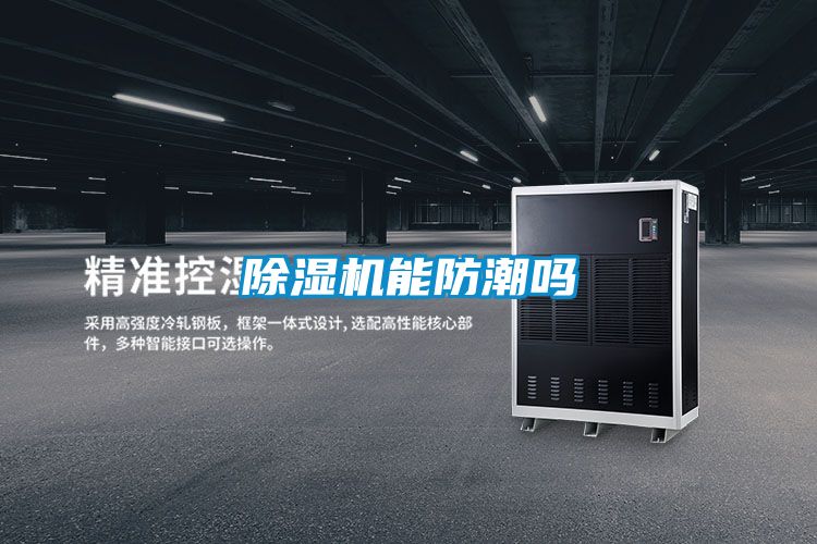麻豆视频黄网站能防潮吗