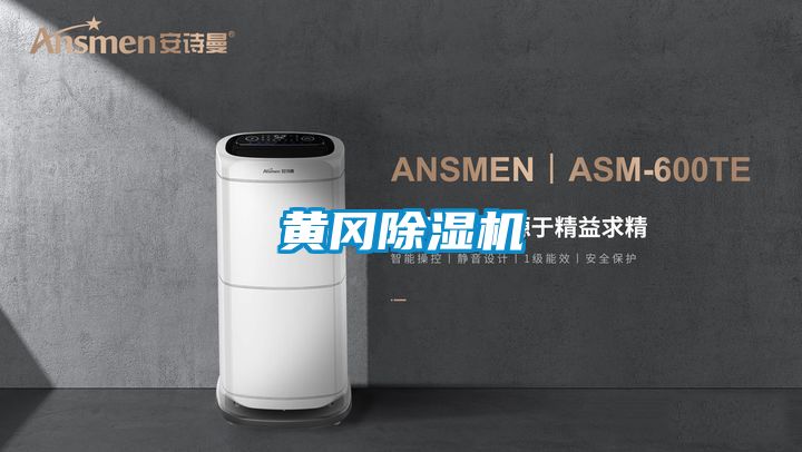 黄冈麻豆视频黄网站