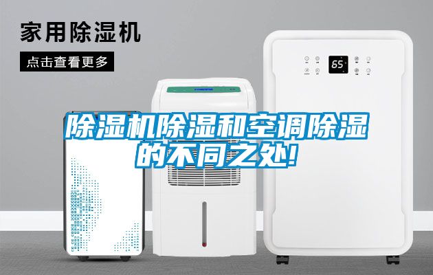 麻豆视频黄网站除湿和空调除湿的不同之处!