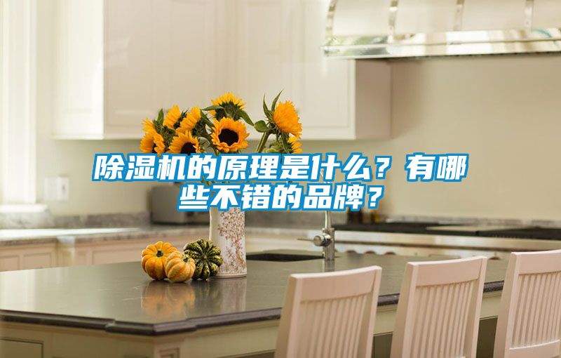 麻豆视频黄网站的原理是什么？有哪些不错的品牌？