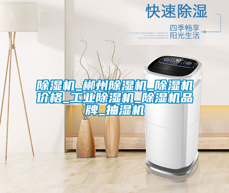 麻豆视频黄网站_郴州麻豆视频黄网站_麻豆视频黄网站价格_工业麻豆视频黄网站_麻豆视频黄网站品牌_抽湿机