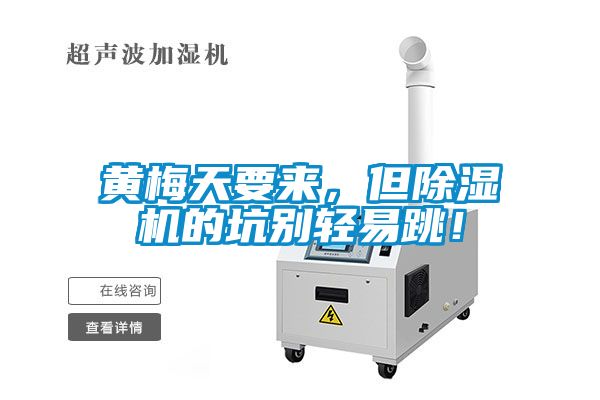 黄梅天要来，但麻豆视频黄网站的坑别轻易跳！