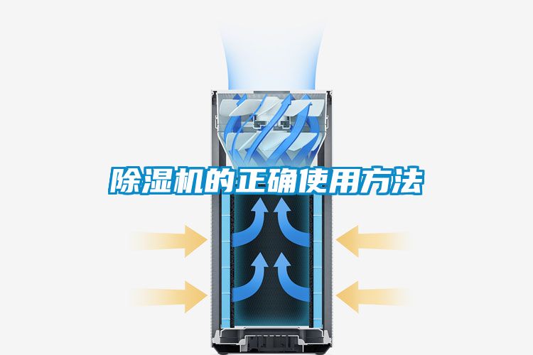 麻豆视频黄网站的正确使用方法