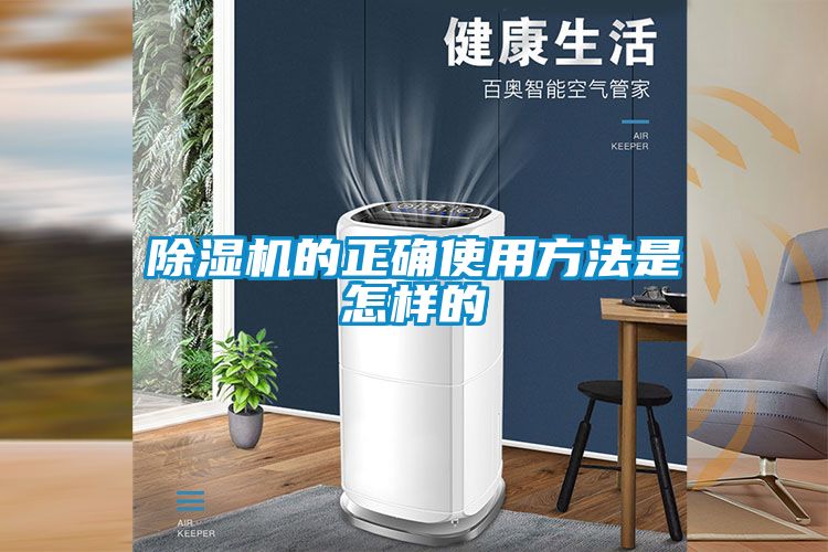 麻豆视频黄网站的正确使用方法是怎样的