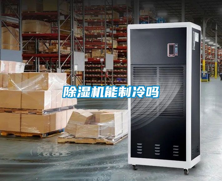 麻豆视频黄网站能制冷吗