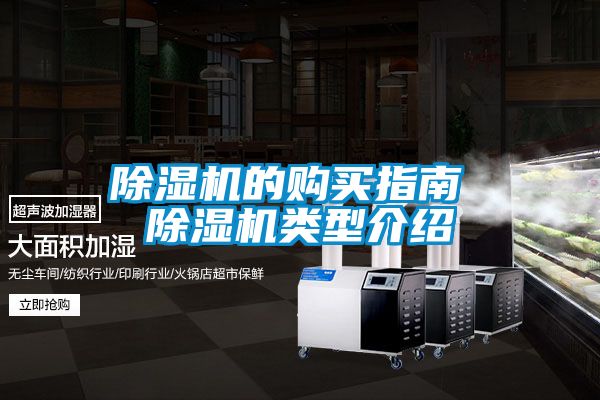 麻豆视频黄网站的购买指南 麻豆视频黄网站类型介绍