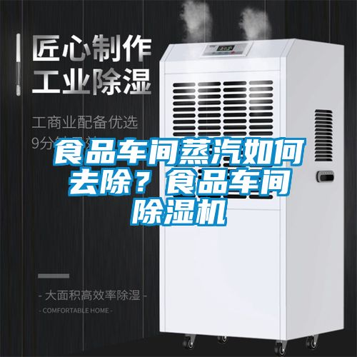 食品车间蒸汽如何去除？食品车间麻豆视频黄网站