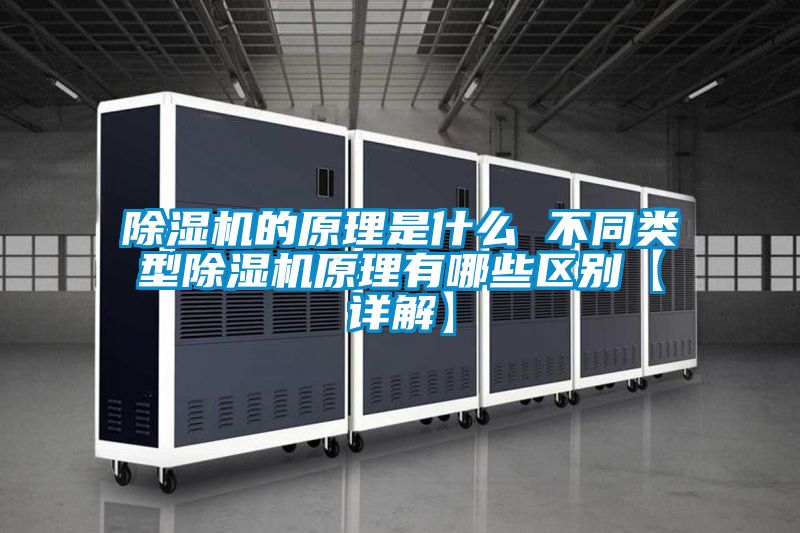 麻豆视频黄网站的原理是什么 不同类型麻豆视频黄网站原理有哪些区别【详解】