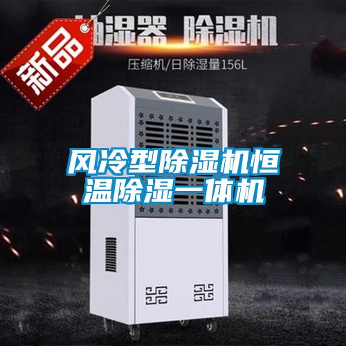 风冷型麻豆视频黄网站恒温除湿一体机