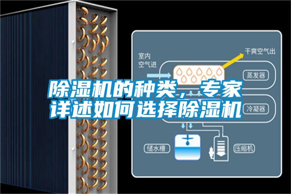 麻豆视频黄网站的种类，专家详述如何选择麻豆视频黄网站