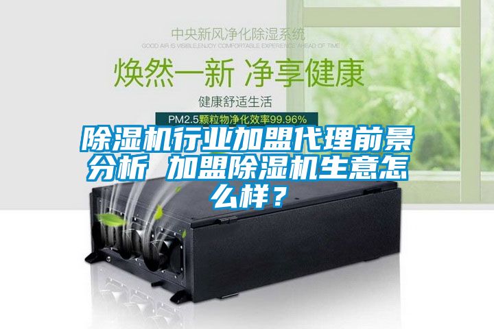 麻豆视频黄网站行业加盟代理前景分析 加盟麻豆视频黄网站生意怎么样？