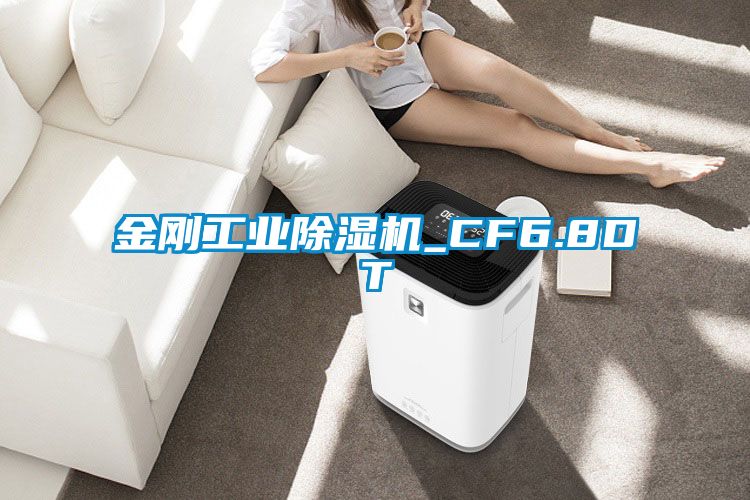 金刚工业麻豆视频黄网站_CF6.8DT