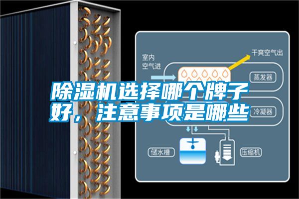 麻豆视频黄网站选择哪个牌子好，注意事项是哪些