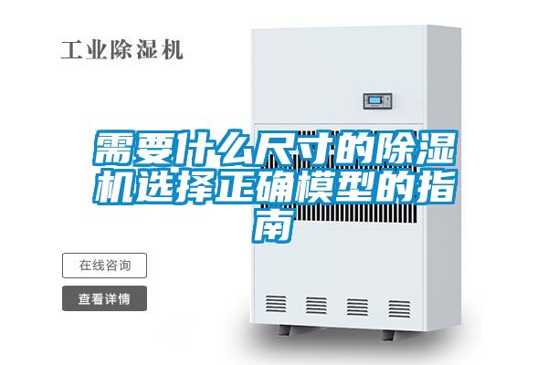 需要什么尺寸的麻豆视频黄网站选择正确模型的指南