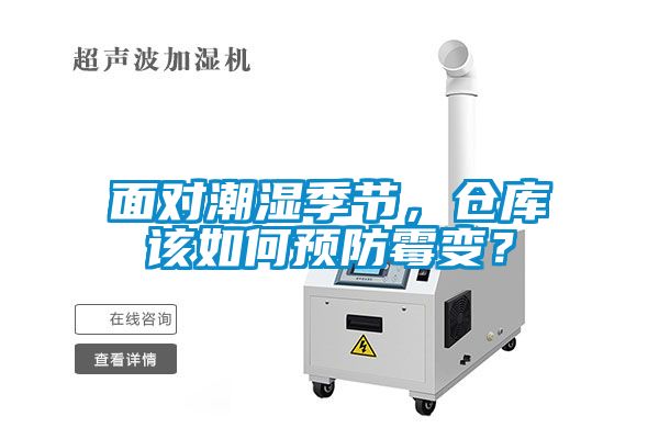 面对潮湿季节，仓库该如何预防霉变？