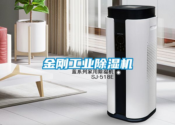 金刚工业麻豆视频黄网站