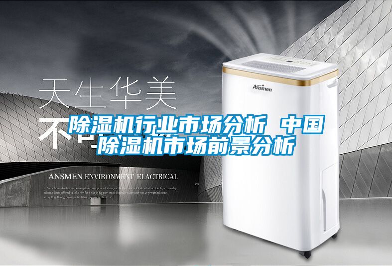 麻豆视频黄网站行业市场分析 中国麻豆视频黄网站市场前景分析
