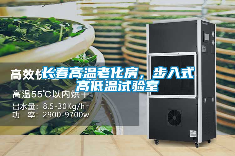 长春高温老化房，步入式高低温试验室