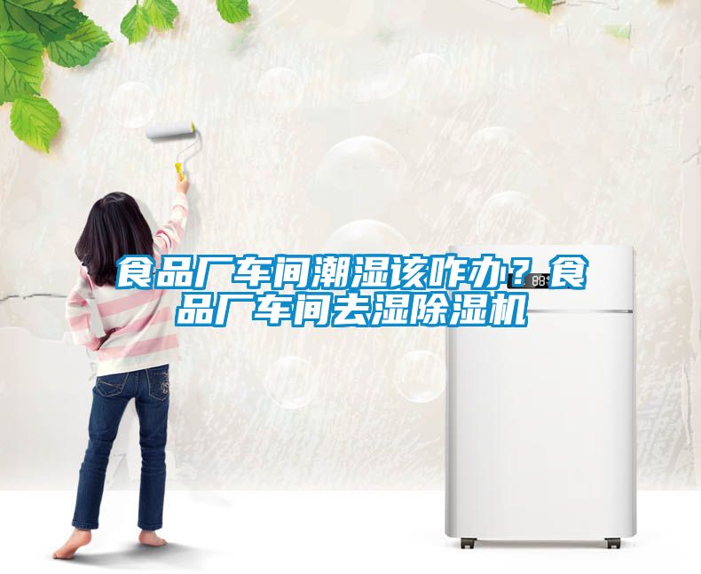 食品厂车间潮湿该咋办？食品厂车间去湿麻豆视频黄网站