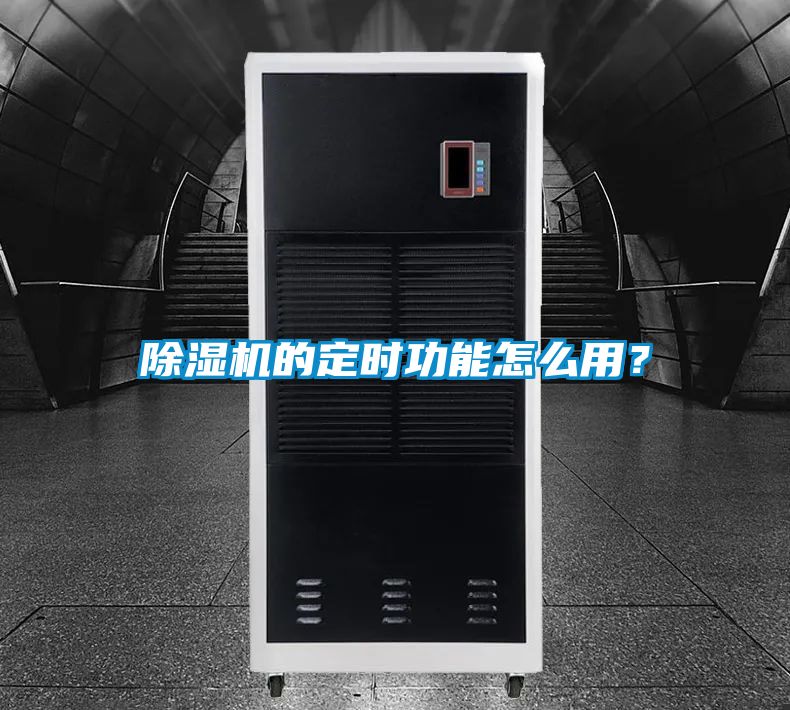 麻豆视频黄网站的定时功能怎么用？