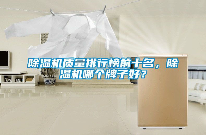 麻豆视频黄网站质量排行榜前十名，麻豆视频黄网站哪个牌子好？