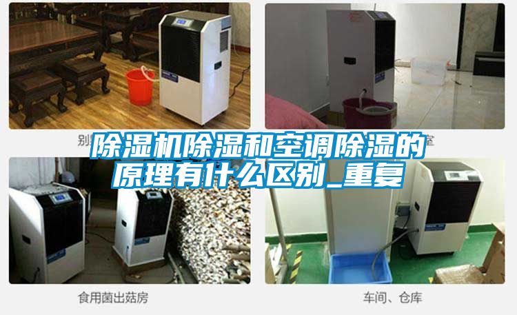 麻豆视频黄网站除湿和空调除湿的原理有什么区别_重复