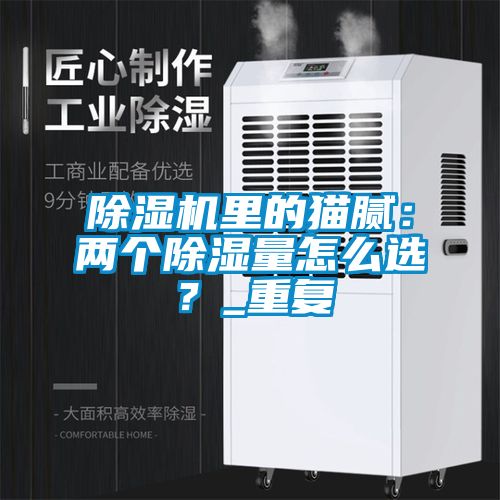 麻豆视频黄网站里的猫腻：两个除湿量怎么选？_重复
