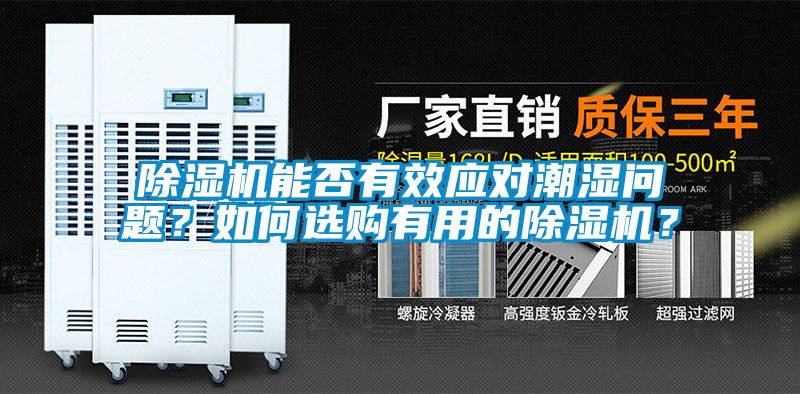 麻豆视频黄网站能否有效应对潮湿问题？如何选购有用的麻豆视频黄网站？