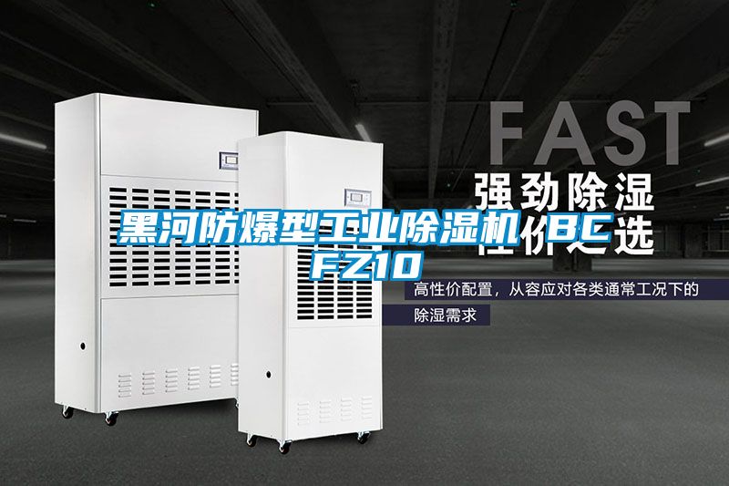 黑河防爆型工业麻豆视频黄网站 BCFZ10