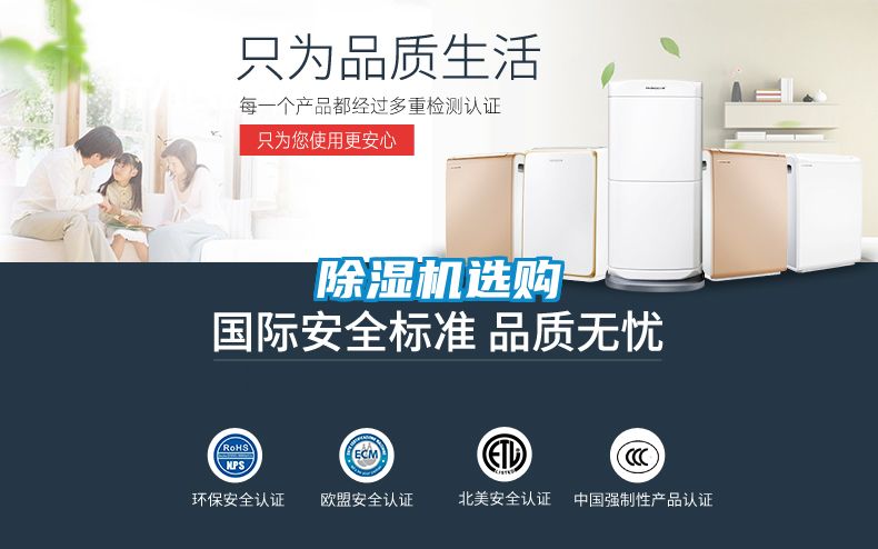 麻豆视频黄网站选购