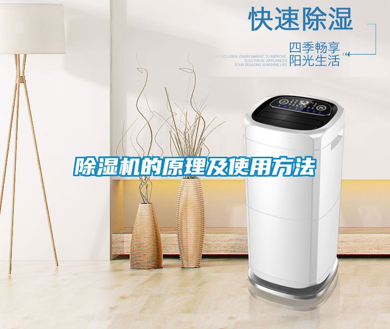 麻豆视频黄网站的原理及使用方法