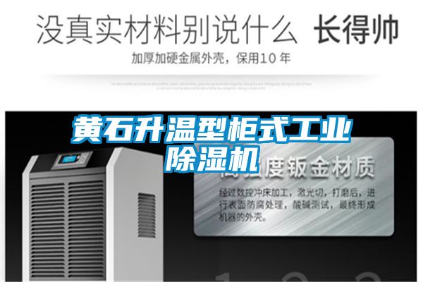 黄石升温型柜式工业麻豆视频黄网站