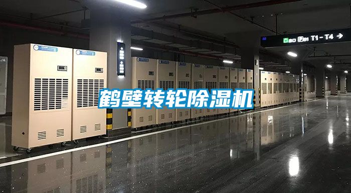 鹤壁转轮麻豆视频黄网站