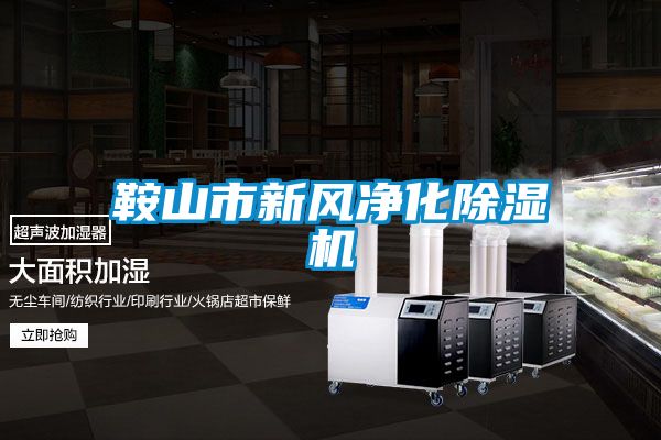 鞍山市新风净化麻豆视频黄网站