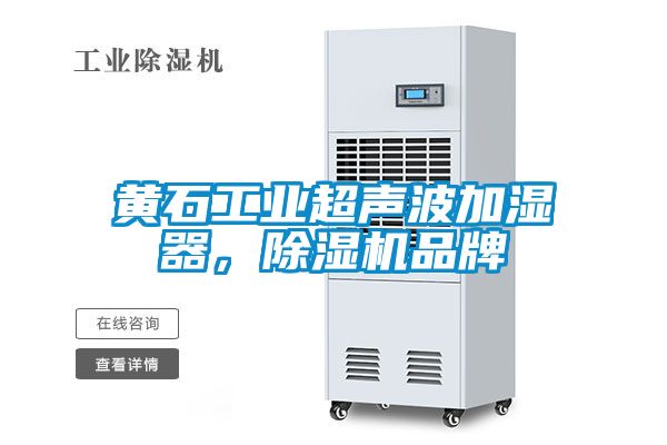 黄石工业超声波加湿器，麻豆视频黄网站品牌