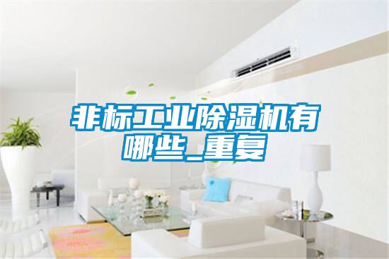 非标工业麻豆视频黄网站有哪些_重复