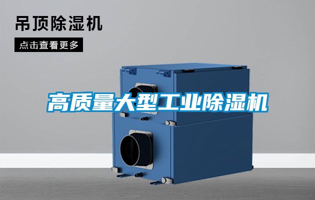 高质量大型工业麻豆视频黄网站