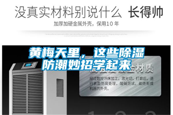 黄梅天里，这些除湿防潮妙招学起来