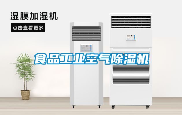 食品工业空气麻豆视频黄网站