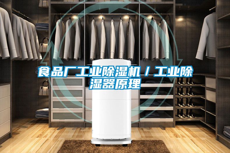 食品厂工业麻豆视频黄网站／工业除湿器原理